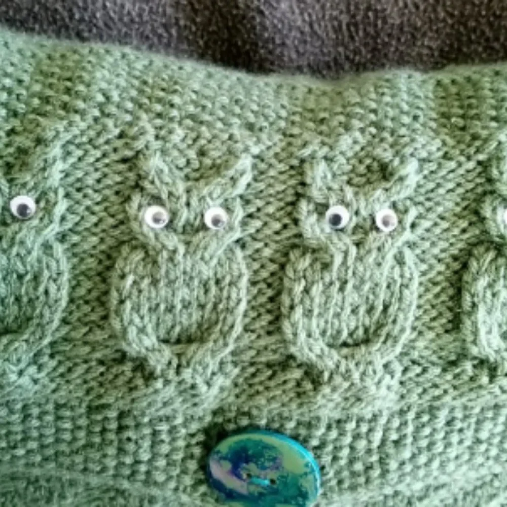 Hand Crafted Pillow Knit Sage Green Owl Googly Eye Hand Painted Button H…